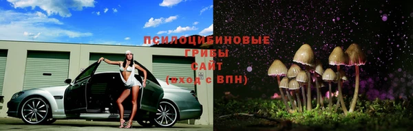 ГАЛЛЮЦИНОГЕННЫЕ ГРИБЫ Нязепетровск
