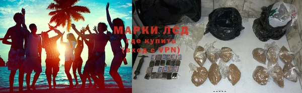 PSILOCYBIN Новозыбков