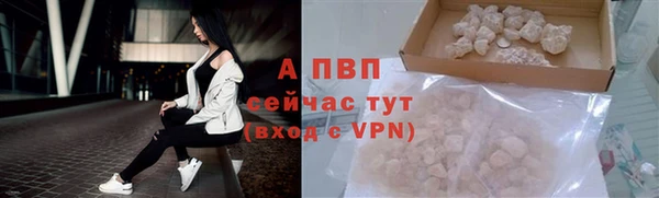 PSILOCYBIN Новозыбков