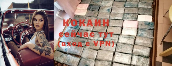 дмт Няндома