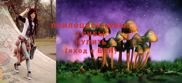 дмт Няндома